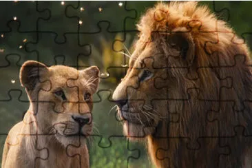 LEAO RIO jigsaw puzzle