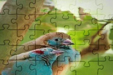 . jigsaw puzzle