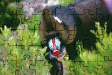 . jigsaw puzzle