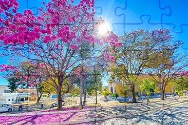 imagem jigsaw puzzle