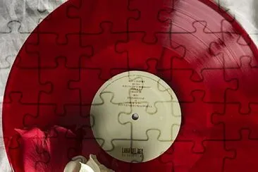 Record jigsaw puzzle