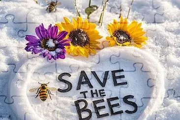 פאזל של Save the Bees