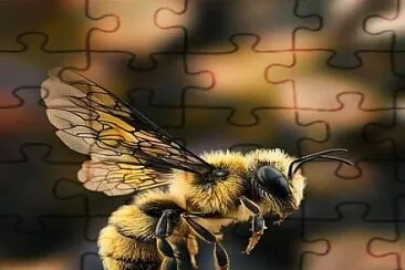 Flying bee jigsaw puzzle