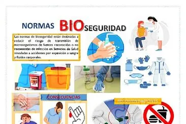 bioseguridad jigsaw puzzle