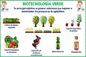 פאזל של TECNOLOGIA VERDE