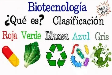 tipos de biotecnología