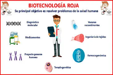 biotecnologia roja