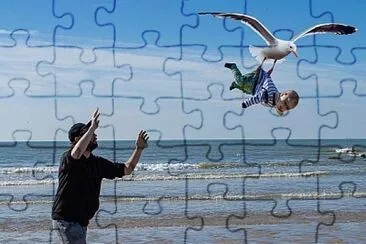  jigsaw puzzle