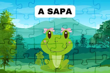 A SAPA jigsaw puzzle