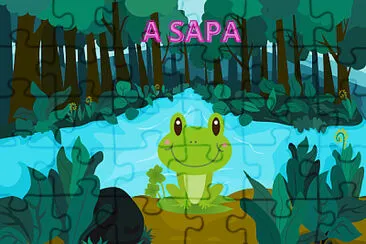 A SAPA jigsaw puzzle