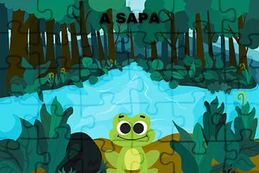 A SAPA jigsaw puzzle