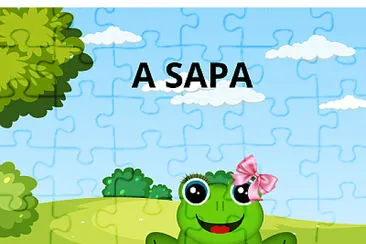 A SAPA jigsaw puzzle