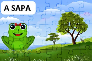 A SAPA jigsaw puzzle