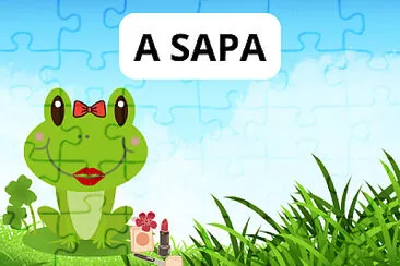 A SAPA jigsaw puzzle