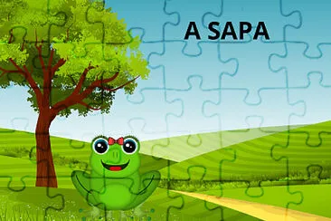 A SAPA jigsaw puzzle