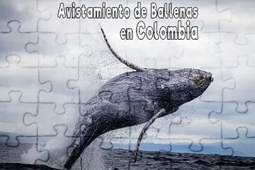 Ballenas Colombia jigsaw puzzle