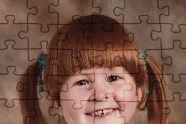  jigsaw puzzle