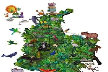 biodiversidad colombia