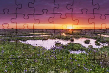 Sunset over marshland jigsaw puzzle