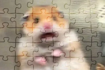 fhnxhfnghn jigsaw puzzle