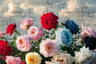 imagem jigsaw puzzle