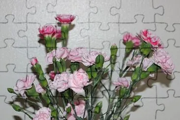 Carnation jigsaw puzzle