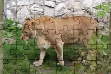 Leon jigsaw puzzle