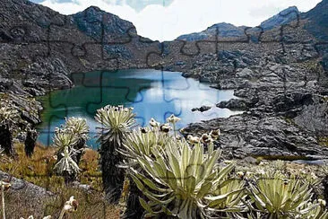 Páramo de Sumapaz