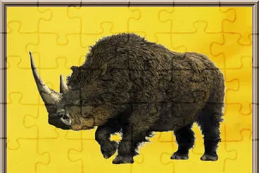 Rhinocéros laineux jigsaw puzzle