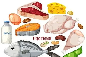 פאזל של proteinas