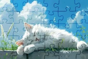  jigsaw puzzle