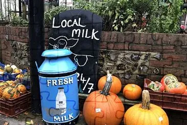 Country store- autumn pumpkins