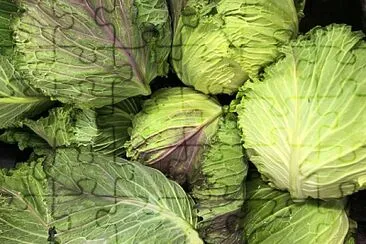 פאזל של Green cabbages abstract