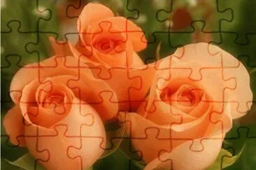 ImÃ¡genes jigsaw puzzle