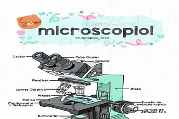 פאזל של Microscopio