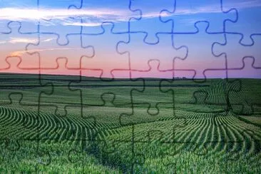 Campo jigsaw puzzle