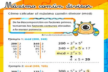 M.C.D jigsaw puzzle