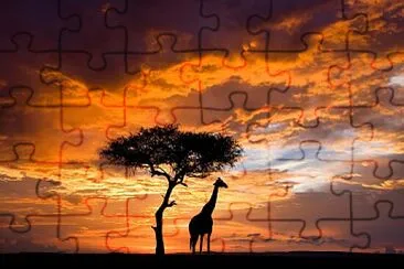 Africa jigsaw puzzle