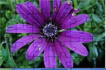 FLOR jigsaw puzzle