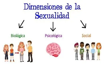 DIMENSIONES