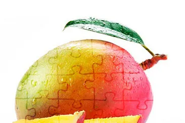 Mango jigsaw puzzle