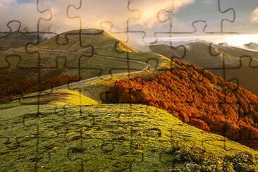 Toy jigsaw puzzle