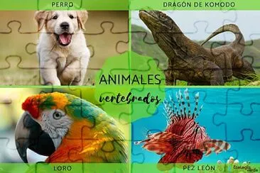 פאזל של Animales vertebrados