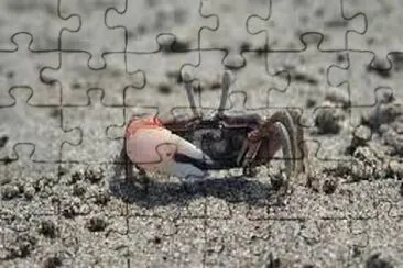 1 jigsaw puzzle