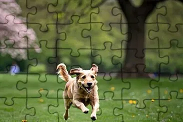 Dog jigsaw puzzle