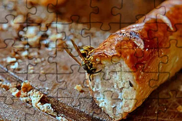 a jigsaw puzzle