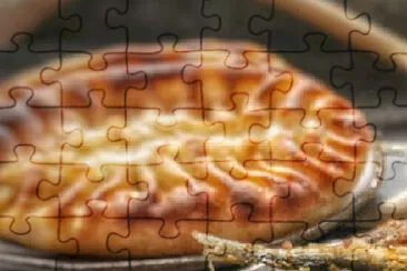 a jigsaw puzzle