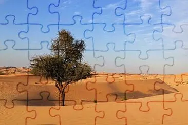 Toy jigsaw puzzle