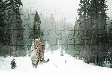 Toy jigsaw puzzle