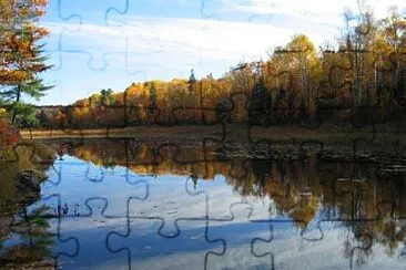 Toy jigsaw puzzle